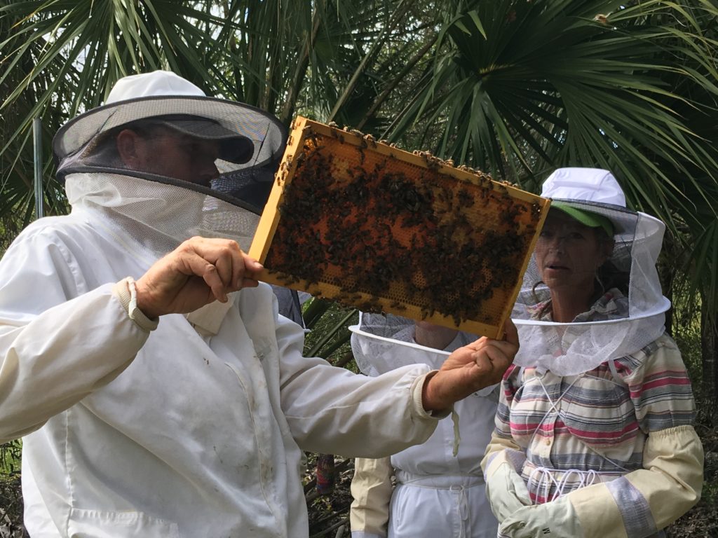 Beekeeping Classes Lee Honey Bee OnSite and Online