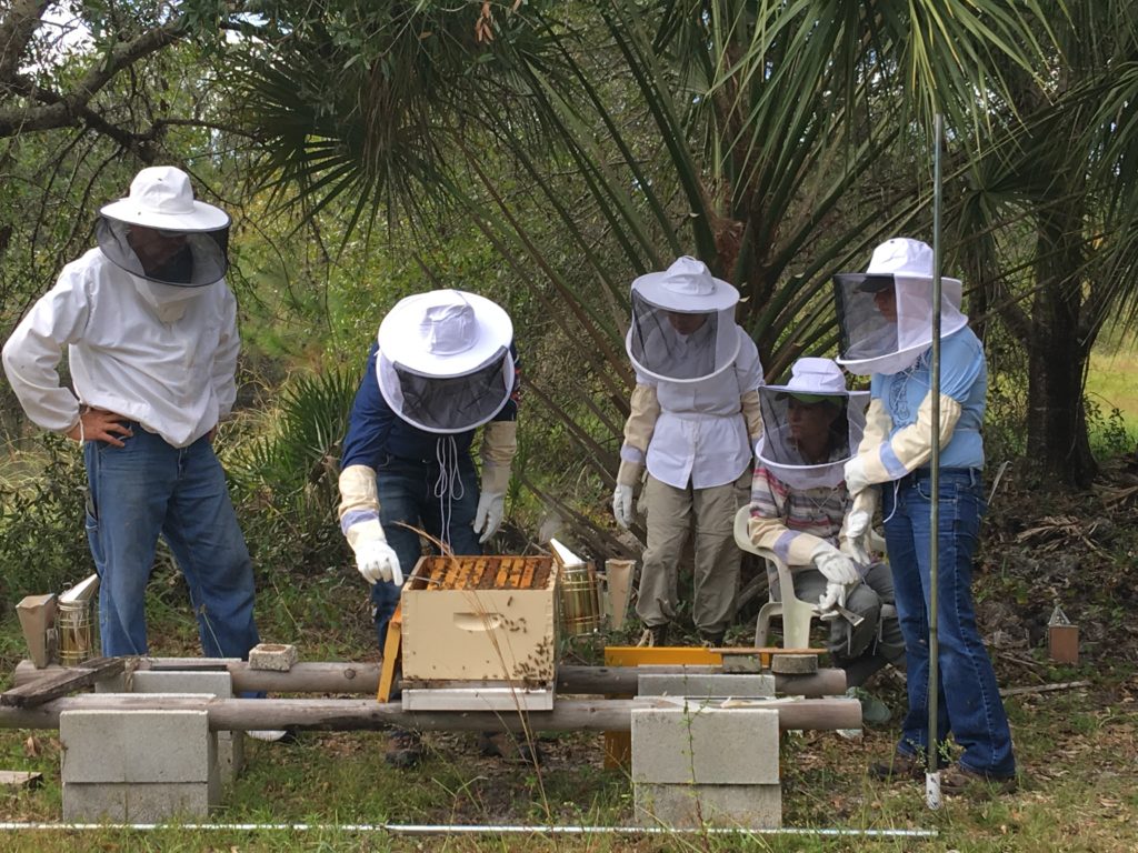 Students working the hive with live bees during Hive inspections at Bee 101 Hands on Workshop | Lee Honey Bee
