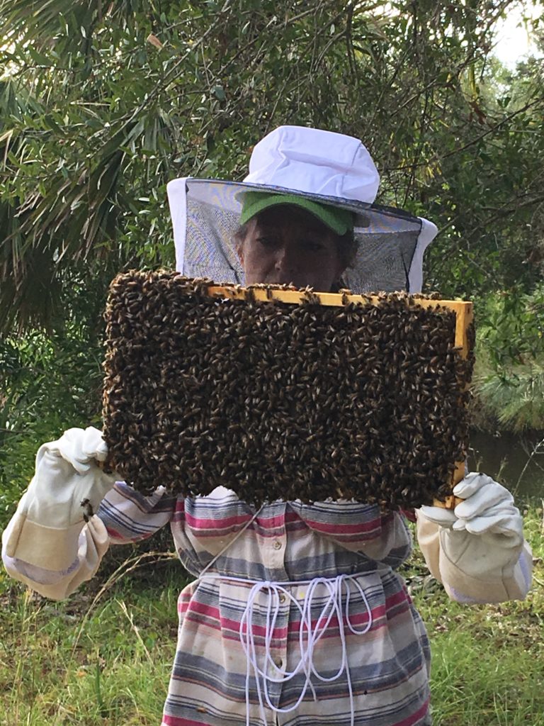 Students holding live bees during Hive inspections at Bee 101 Hands on Workshop | Lee Honey Bee