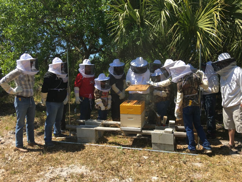 Beekeeping 101 Cape Coral