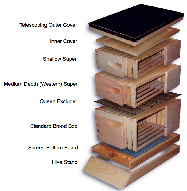 Unassembled MEDIUM 10 Frame Honey Super Langstroth Beehive Box COMMERCIAL Pine 