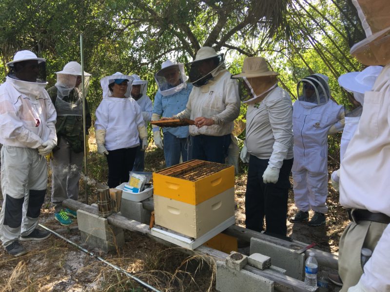 Beekeeping Classes & Honey Bee Education | Lee Honey Bee